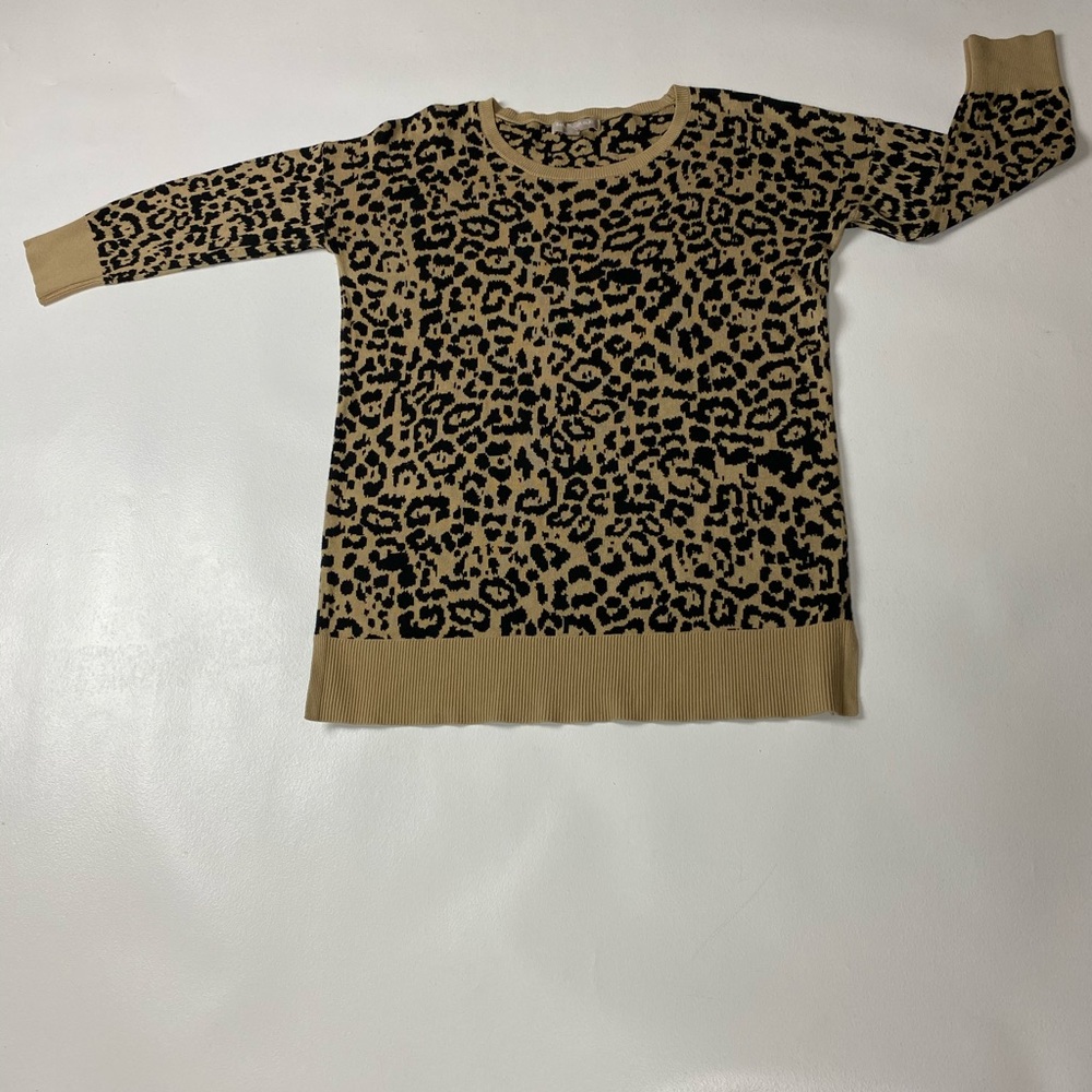 Women’s Banana republic leopard sweater SZ/S